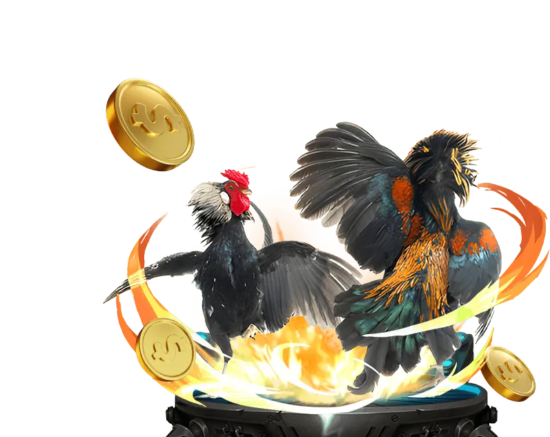 Biểu đồ tăng trưởng tài chính, hoa hồng cao